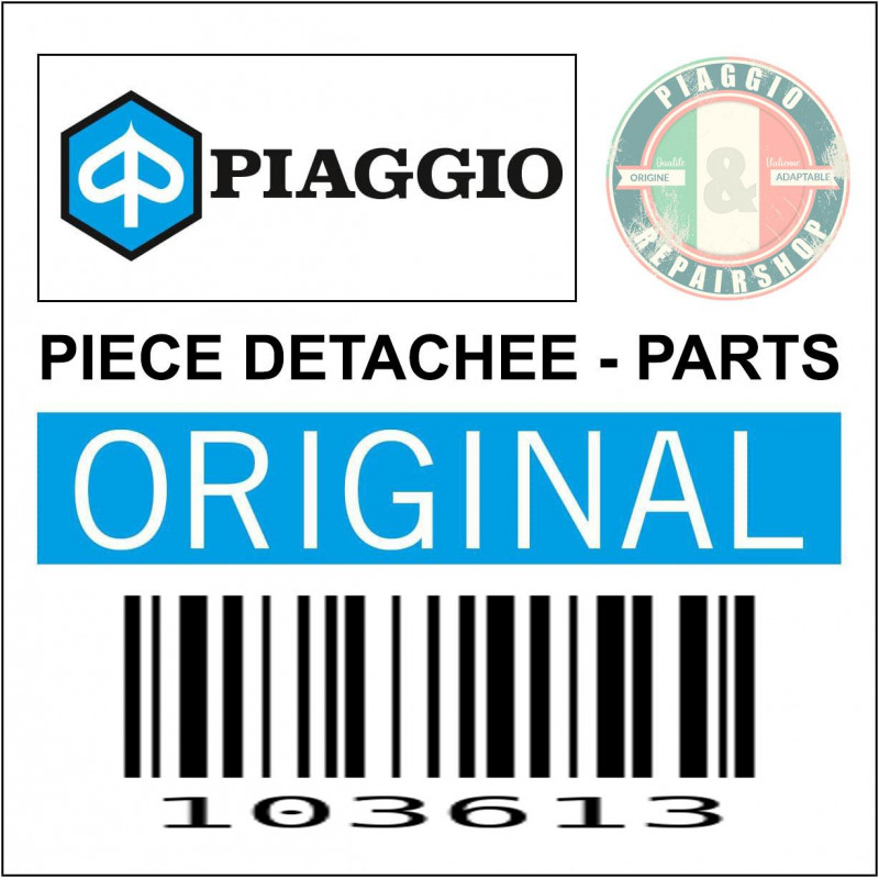 CAGE AIGUILLES ARBRE DE TRANSMISSION ORIGINE PIAGGIO 50 CIAO -103613-