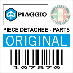 CLIPS-CIRCLIPS ORIGINE PIAGGIO TRIPORTEUR APE COMMUN A LA GAMME -107870-