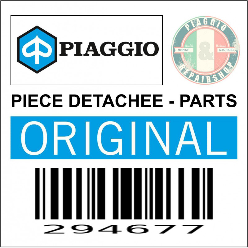 294677 - CACHE OPTIQUE D