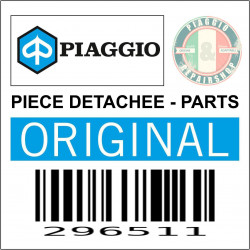 296511 - REPOSE PIED G