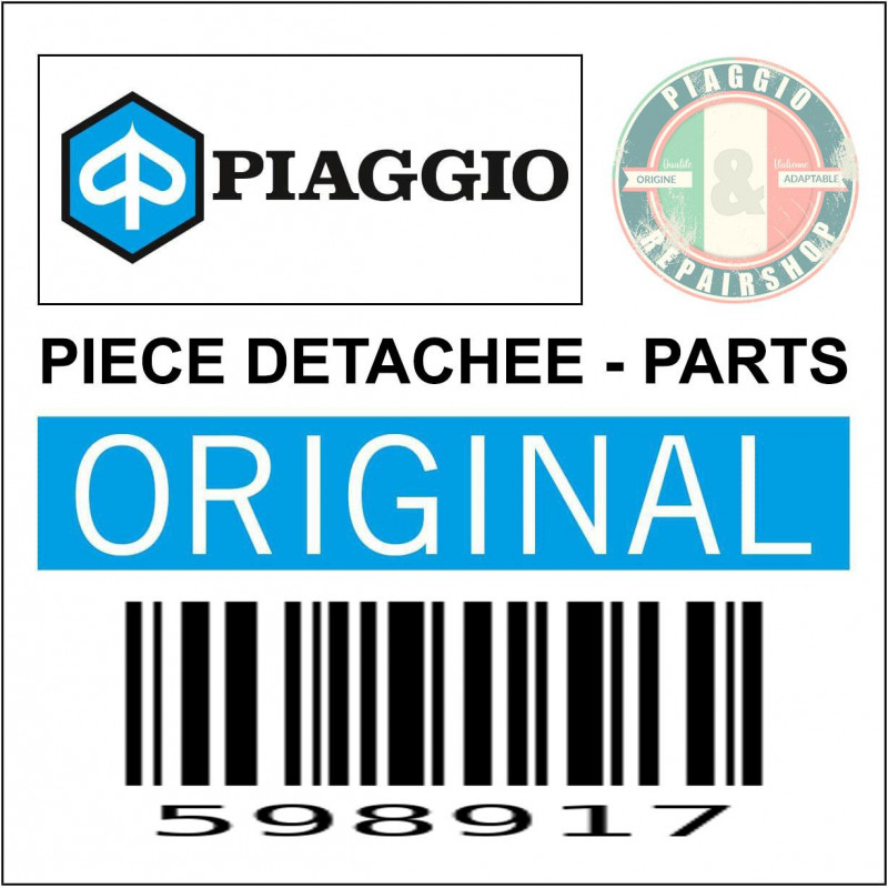DOUILLE DE BRAS OSCILLANT ORIGINE PIAGGIO COMMUN A LA GAMME -598917-