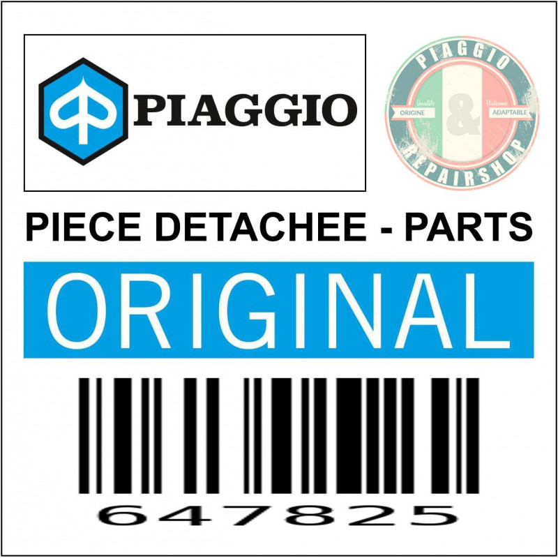PLAQUE-BRIDE ETRIER DE FREIN ARRIERE ORIGINE PIAGGIO 350-400-500 MP3, 400 X-EVO, X8  -647825-