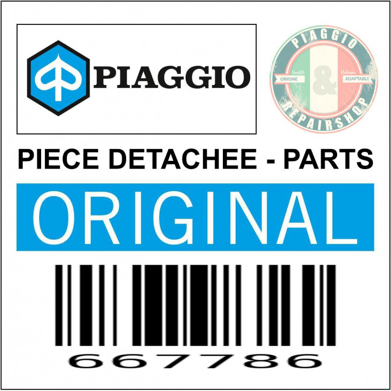 667786 - BRAS OSCILLANT COMPLET