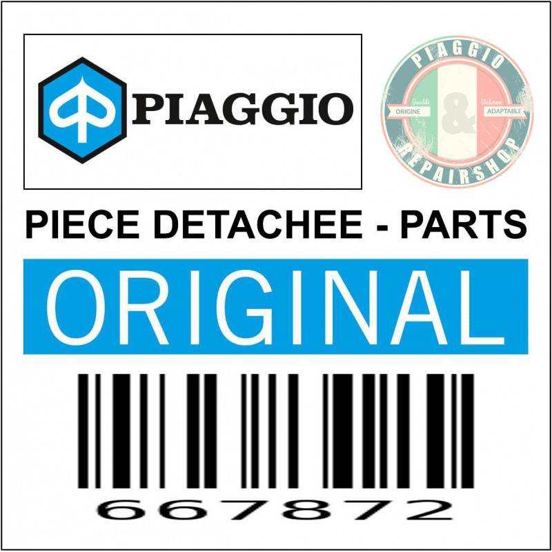 667872 - PLAQUETTE AMORTISSEUR AR