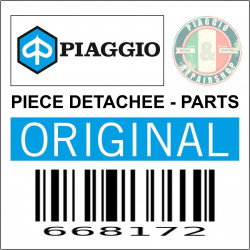 668172 - BRAS OSCILLANT