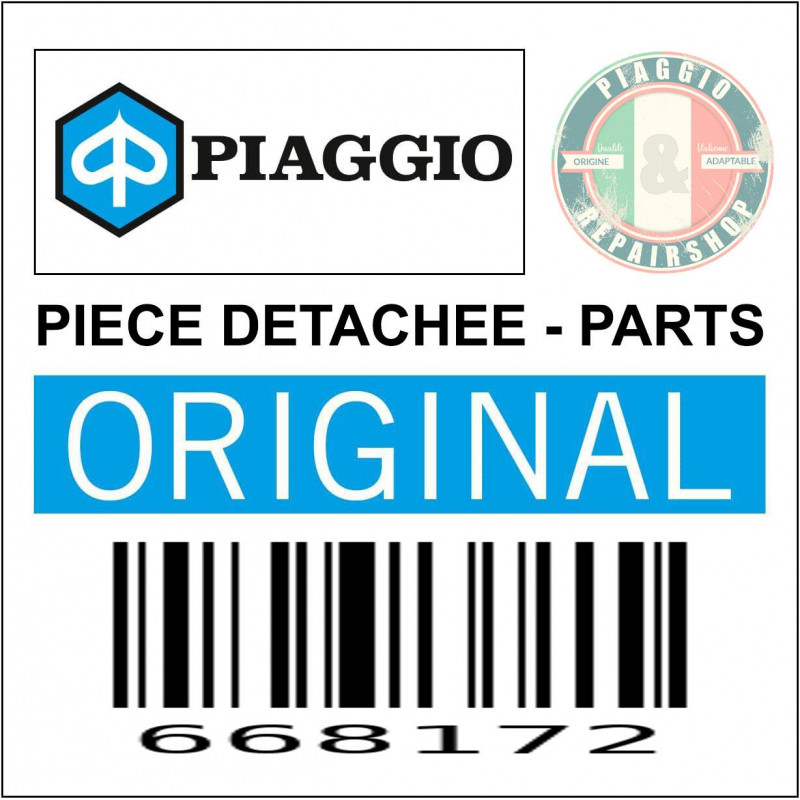 668172 - BRAS OSCILLANT