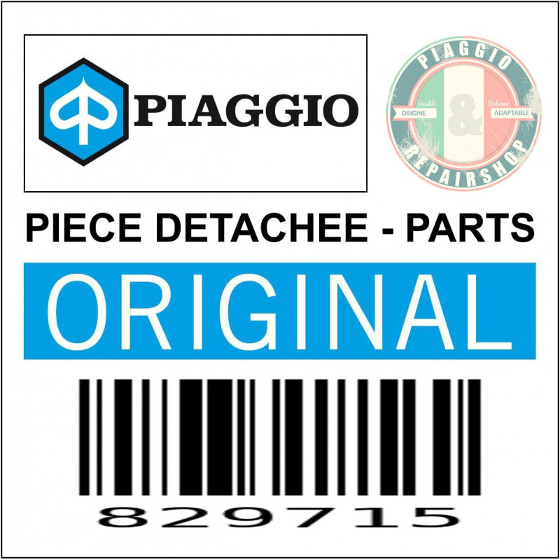 829715 - MANCHON