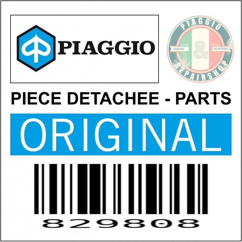 CAGE A AIGUILLE (25x33x18) ORIGINE PIAGGIO COMMUN A LA GAMME -829808-