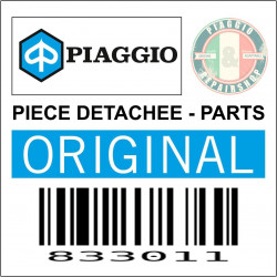 PLAQUETTE DE MAINTIEN PIGNON DE DEMARREUR ORIGINE PIAGGIO 350-400 BEVERLY, MP3 2018  -833011-