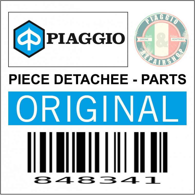 VIS BRIDE TH (12) ORIGINE PIAGGIO COMMUN A LA GAMME -848341-