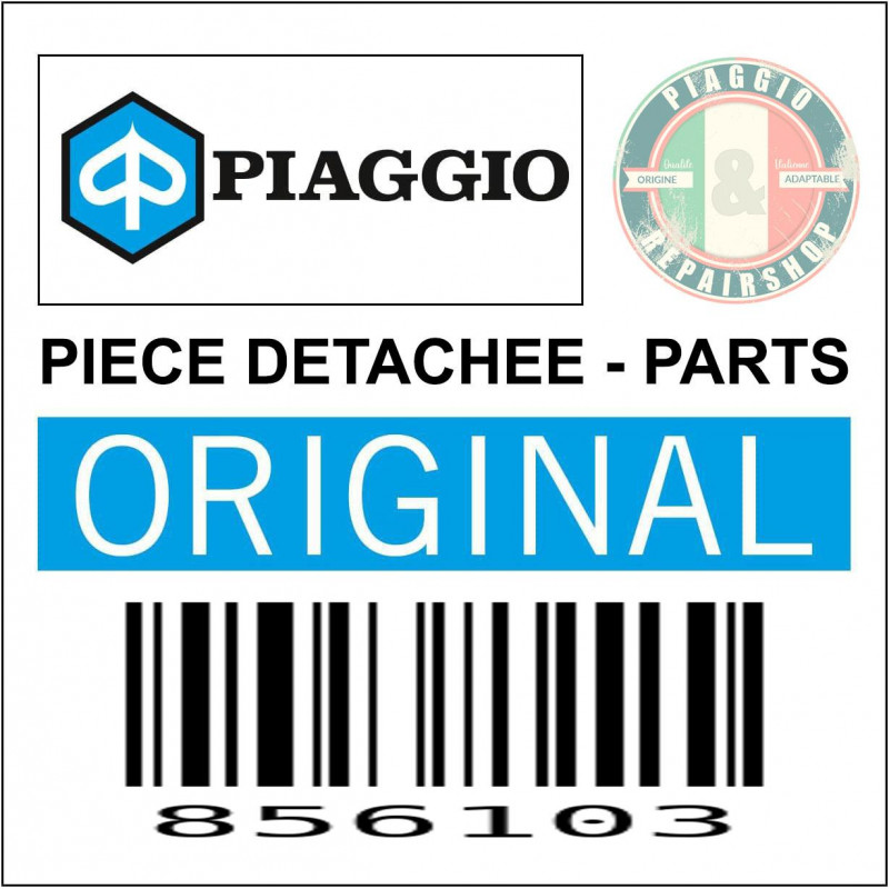 856103 - GICLEUR MINIMUM