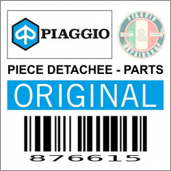 876615 - BRAS OSCILLANT DRT.