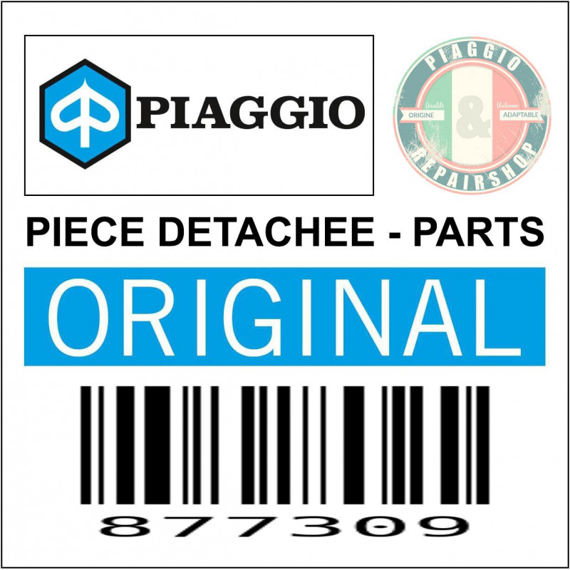 TOLE ARBRE A CAMES ORIGINE PIAGGIO COMMUN A LA GAMME -877309-