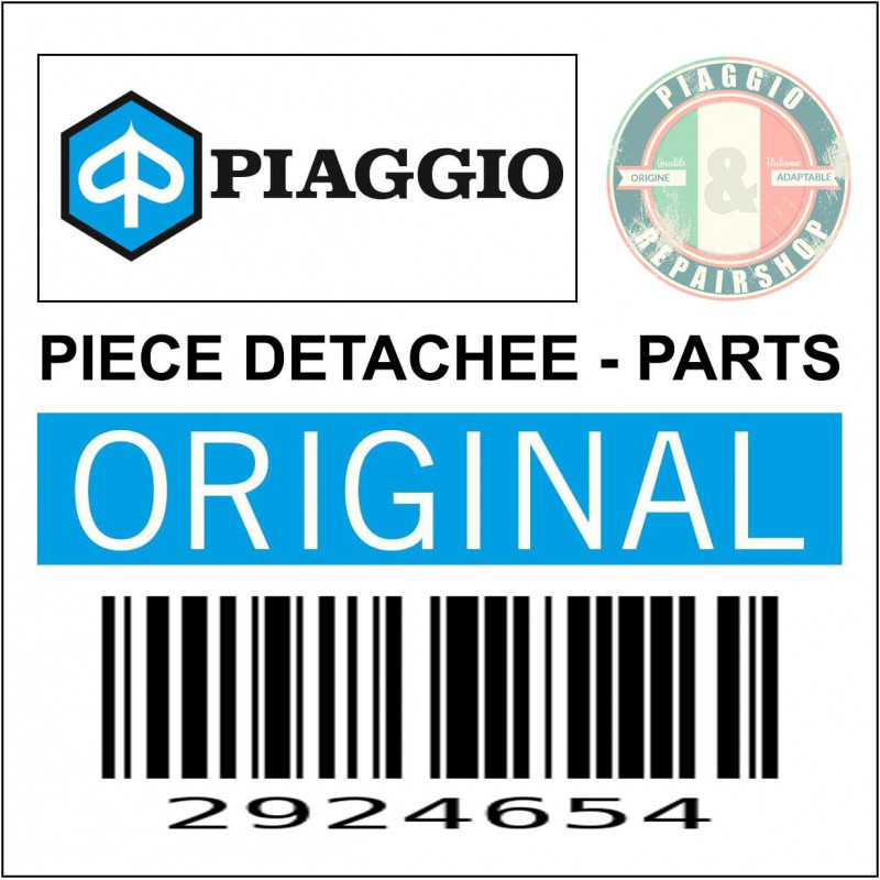 PORTE PLAQUE IMMATRICULATION ORIGINE PIAGGIO 50 TYPHOON 2008- -2924654-