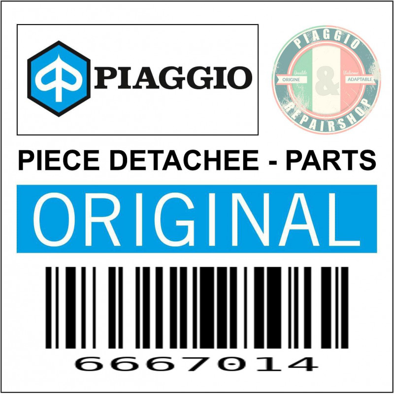 6667014 - BEQUILLE CENTRALE *
