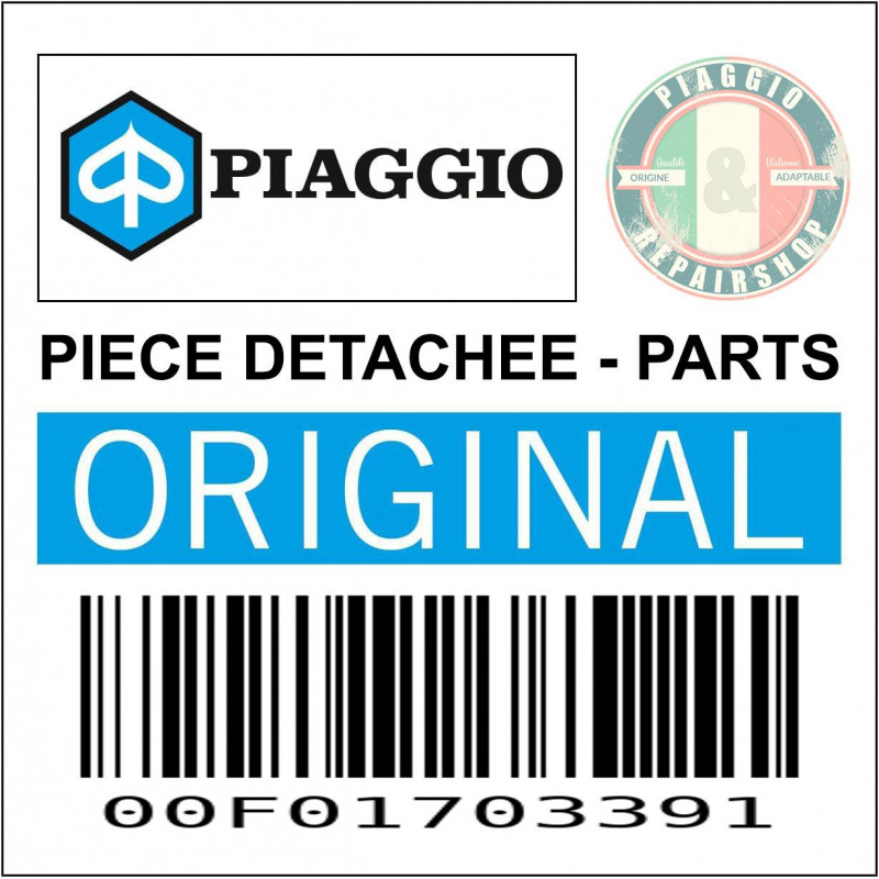 00F01703391 - ENS.CLIGNOTANT ARR. GAUCHE