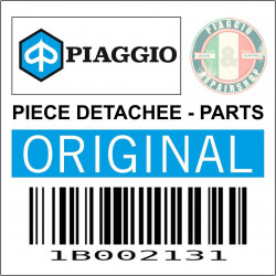 PORTE BAGAGE ARRIERE ORIGINE PIAGGIO 50-125 VESPA PRIMAVERA 2013   -1B002131-