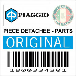 1B00334301 - CHASSIS