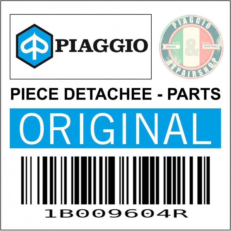 1B009604R - COMPLETE FUEL PIPE