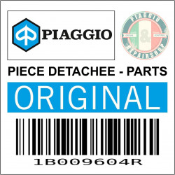 1B009604R - COMPLETE FUEL PIPE