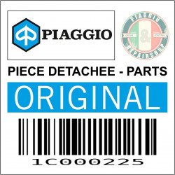1C000225 - SPECIAL CLE TORX VIS ? T?TE OVALE