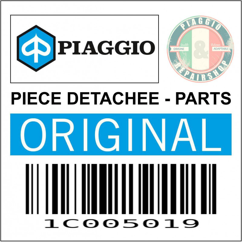1C005078 - BRAS OSCILLANT COMPLET