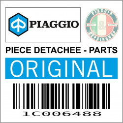 DURITE-FLEXIBLE-TUYAU DE FREIN ANTIROULIS ORIGINE PIAGGIO 400-530 2022  -1C006488-