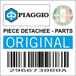 296673000A - FLANC ARD GRIS