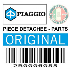 SUPPORT AMORTISSEUR ET ETRIER DE FREIN AVANT GAUCHE ORIGINE PIAGGIO MP3 AVEC ABS -2B0006085-