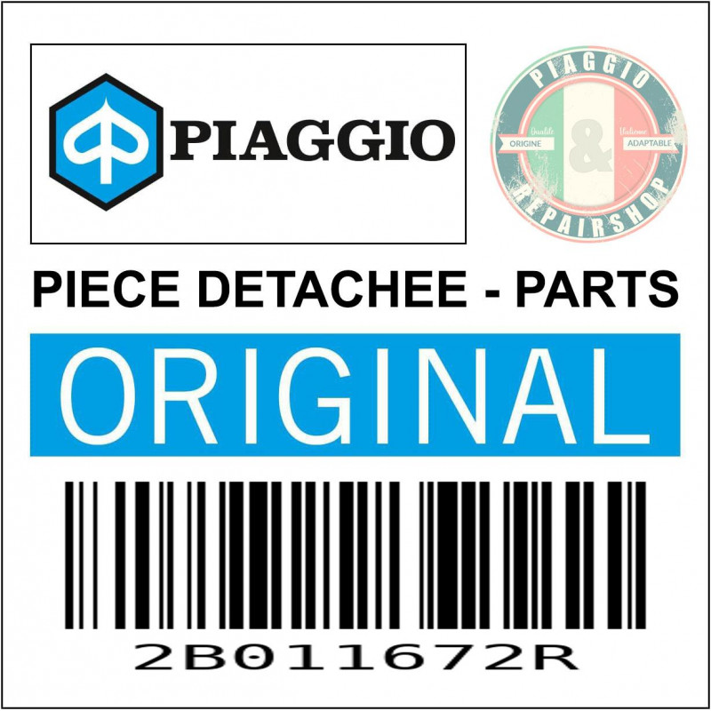 2B011672R - SPECIAL SCREW