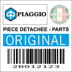 PROTEGE MAIN DROIT ORIGINE PIAGGIO MOTO-GUZZI V85TT E5 2024-2B012123-
