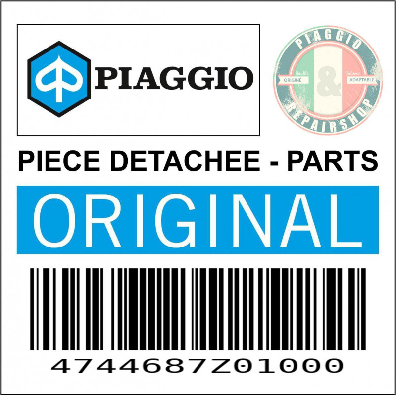 PLAQUETTE DE MAINTIENT MACHOIRES DE FREIN ORIGINE PIAGGIO PORTER  -4744687Z01000-