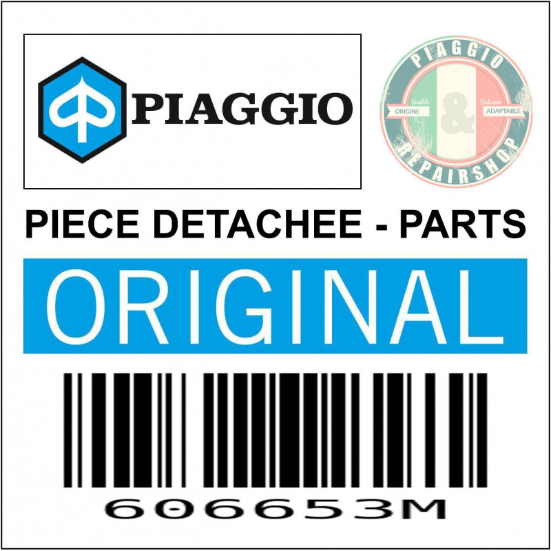 KIT CHARNIERE ORIGINE PIAGGIO POUR TOP CASE 32 LTS -37 LTS  -606653M-