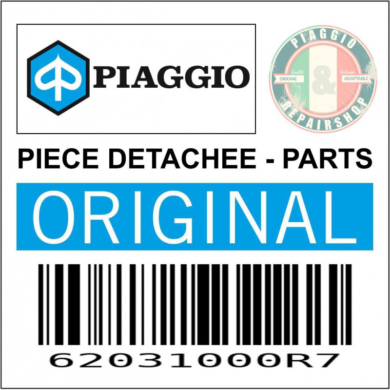 62031000R7 - TRAPPE VISITE