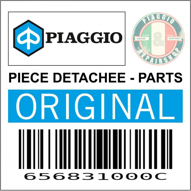 656831000C - TRAPPE DE VISITE