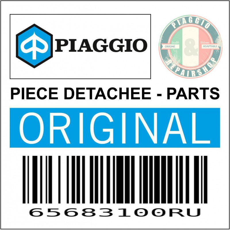 65683100RU - TRAPPE DE VISITE