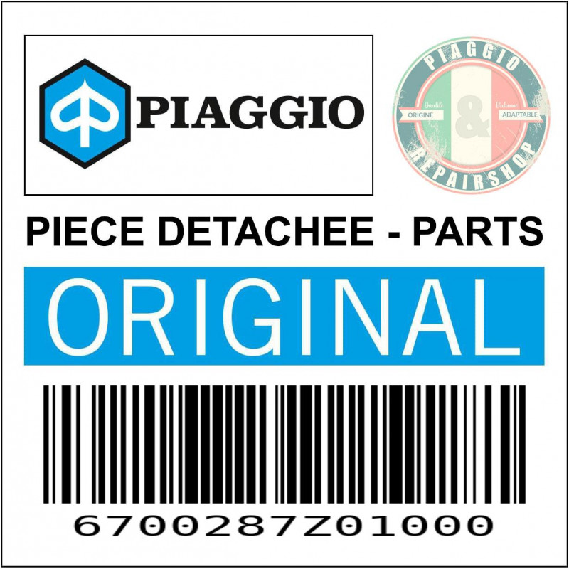 PORTE AVANT GAUCHE ORIGINE PIAGGIO PORTER 2020-  -6700287Z01000-