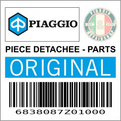 CHARNIERE DE PORTE LATERALE DROITE ORIGINE PIAGGIO  -6838087Z01000-