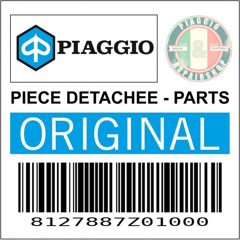 COUVERCLE ECLAIRAGE DE PLAQUE ORIGINE PIAGGIO PORTER 1992 2018, CARGO 2007 2017  -8127887Z01000-