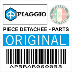 AP5RAR000055 - GICLEUR