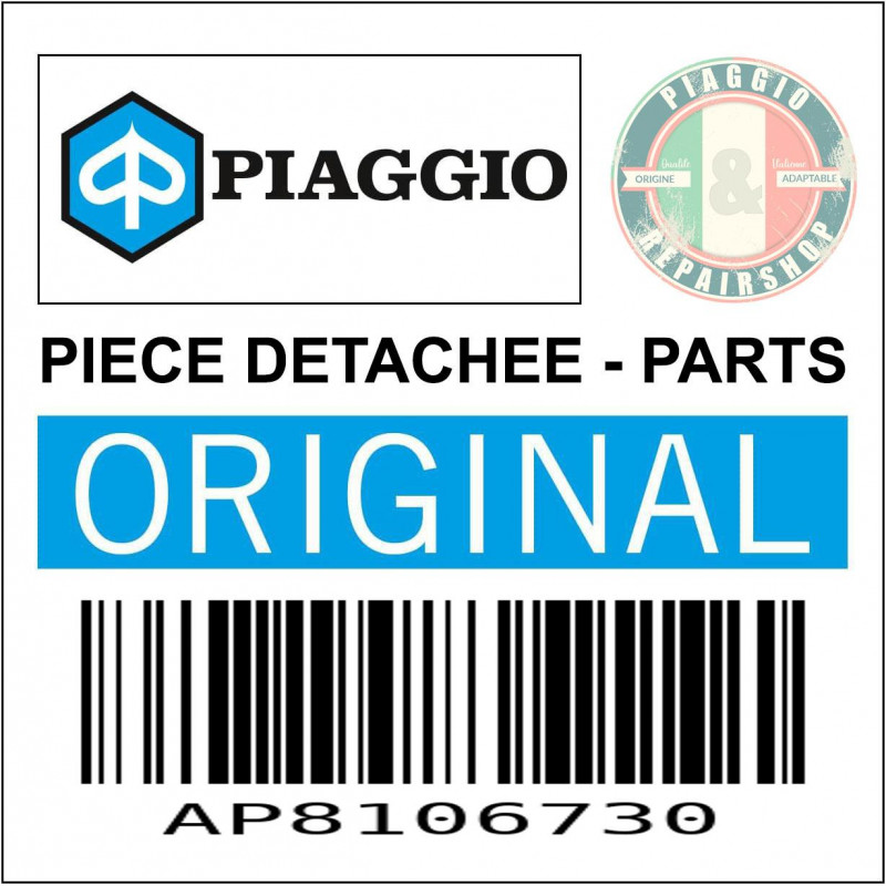 AP8106730 - INJECTEUR