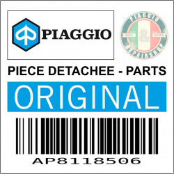 AP8118506 - GUIDON