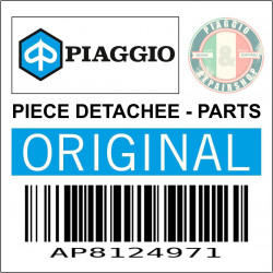 AP8124971 - CLIGNOTANT ARRIERE DROITE