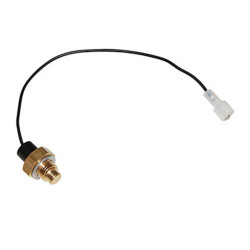SONDE DE TEMPERATURE EAU...