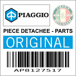 AP8127517 - CLIGNOTANT AV.DR.