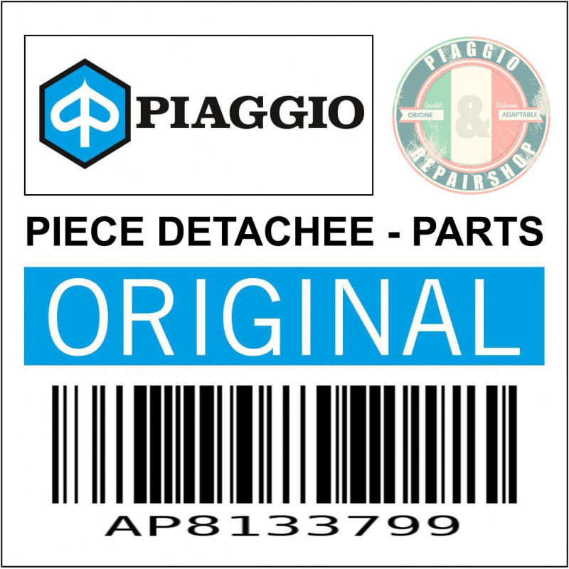 KIT AXE ET RESSORT ETRIER DE FREIN ORIGINE PIAGGIO APRILIA 125-250-300 SPORT-CITY-MOTO-GUZZI 750 V7, NEVADA  -AP8133799-