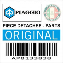 MAITRE CYLINDRE FREIN AVANT ORIGINE PIAGGIO 125 RS 2006 2010 -AP8133838-