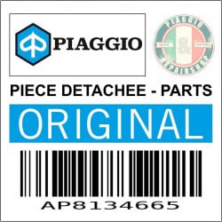AP8134665 - PLAQUE BEQUILLE