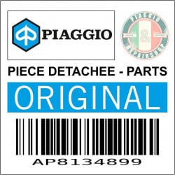 SUPPORT DE MAITRE CYLINDRE DE FREIN AVANT ORIGINE PIAGGIO APRILIA 750-1200 DORSODURO, 1000 TUONO, 1200 CAPONORD  -AP8134899-