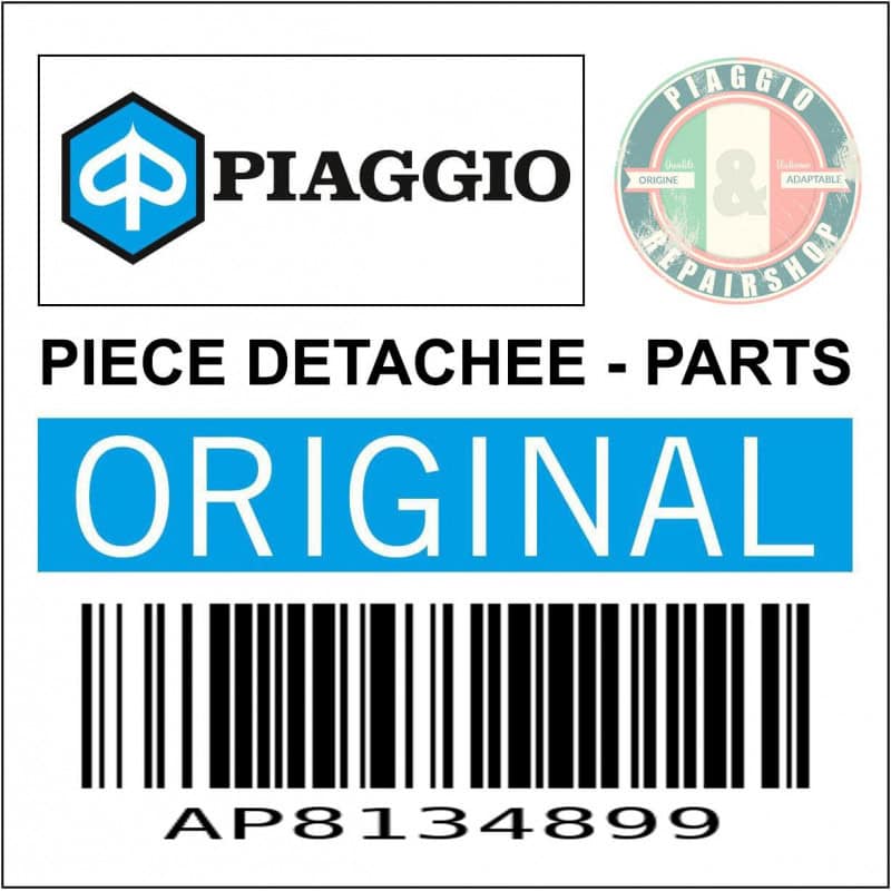 SUPPORT DE MAITRE CYLINDRE DE FREIN AVANT ORIGINE PIAGGIO APRILIA 750-1200 DORSODURO, 1000 TUONO, 1200 CAPONORD  -AP8134899-
